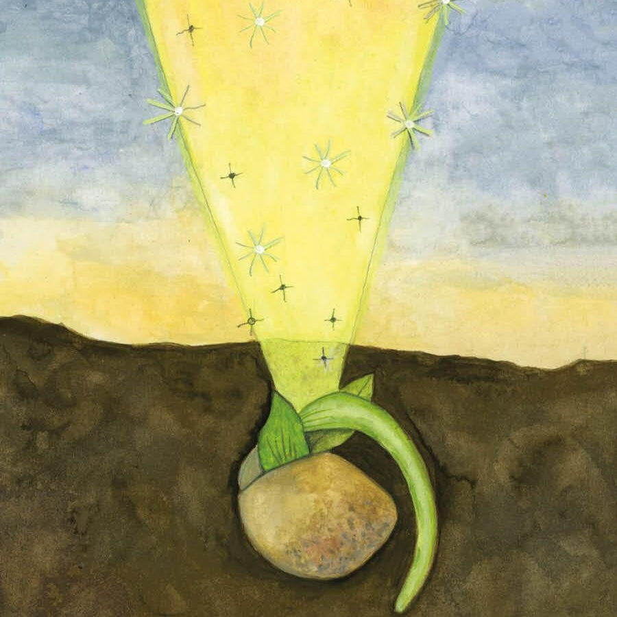 Soul Tarot: A Deck And Guidebook For Healing And Self-Discovery By Mack. Lindsay 20 9780762488988_cb9a7b09-2310-4c2c-b1a8-a3d00853dbad