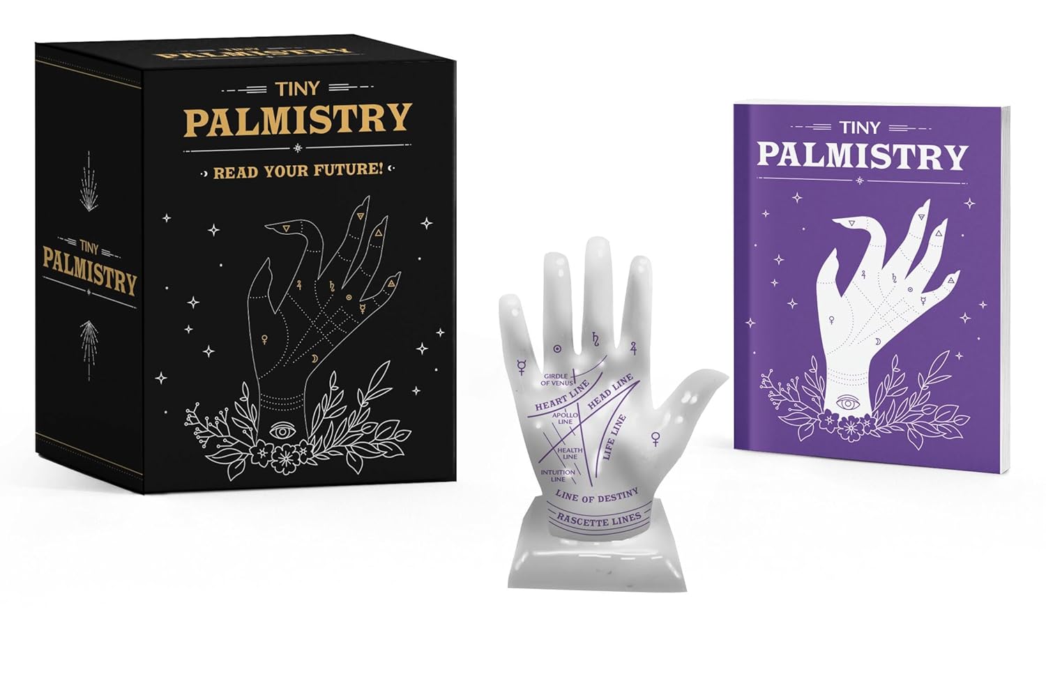 Tiny Palmistry: Read Your Future! by Van De Car. Nikki 9780762495184