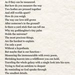 Don't Wait To Light The Candles: Poems By Michelle. Allie 20 9780778306733_3