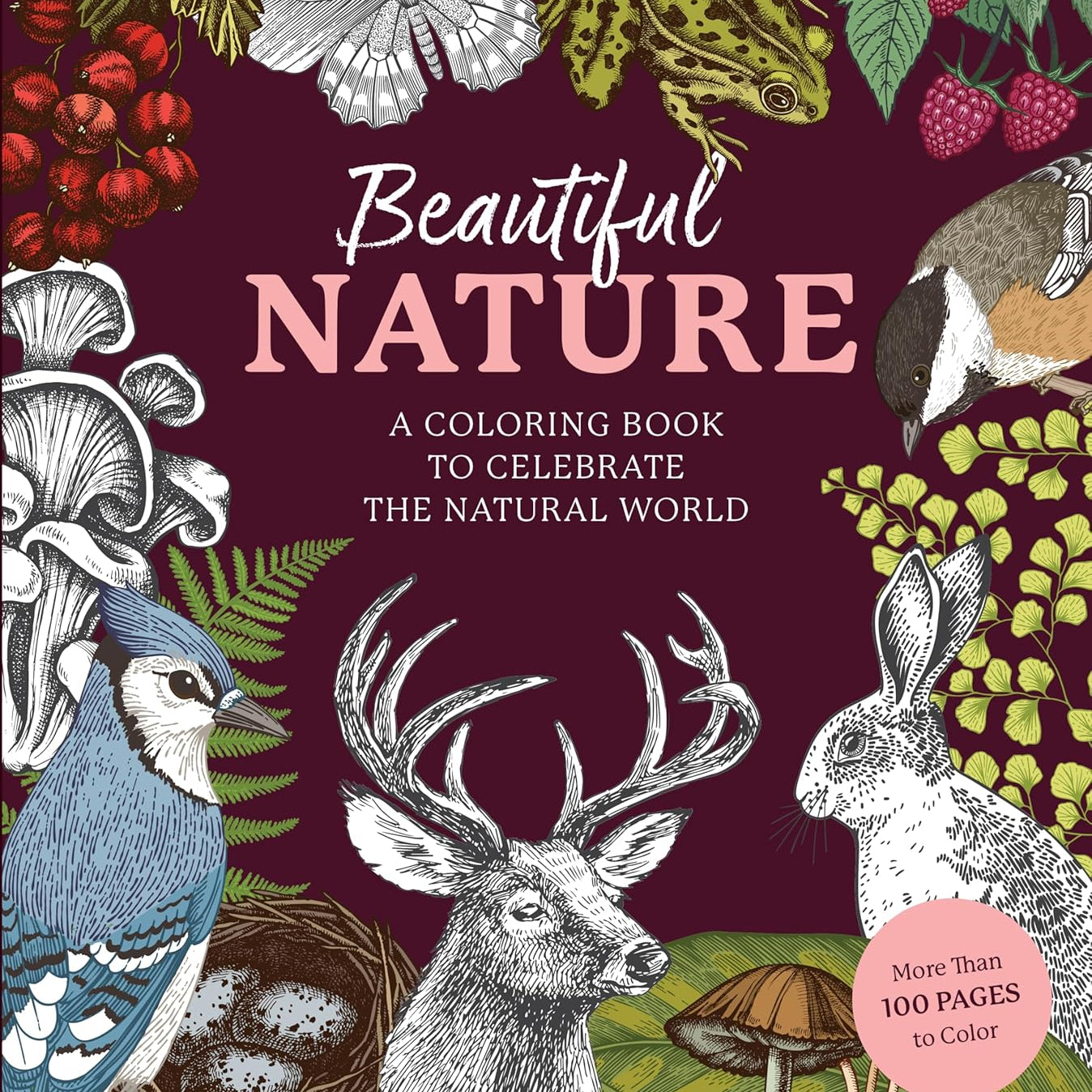 Beautiful Nature Coloring Book: Celebrate The Natural World by Chartwell Books 9780785843382