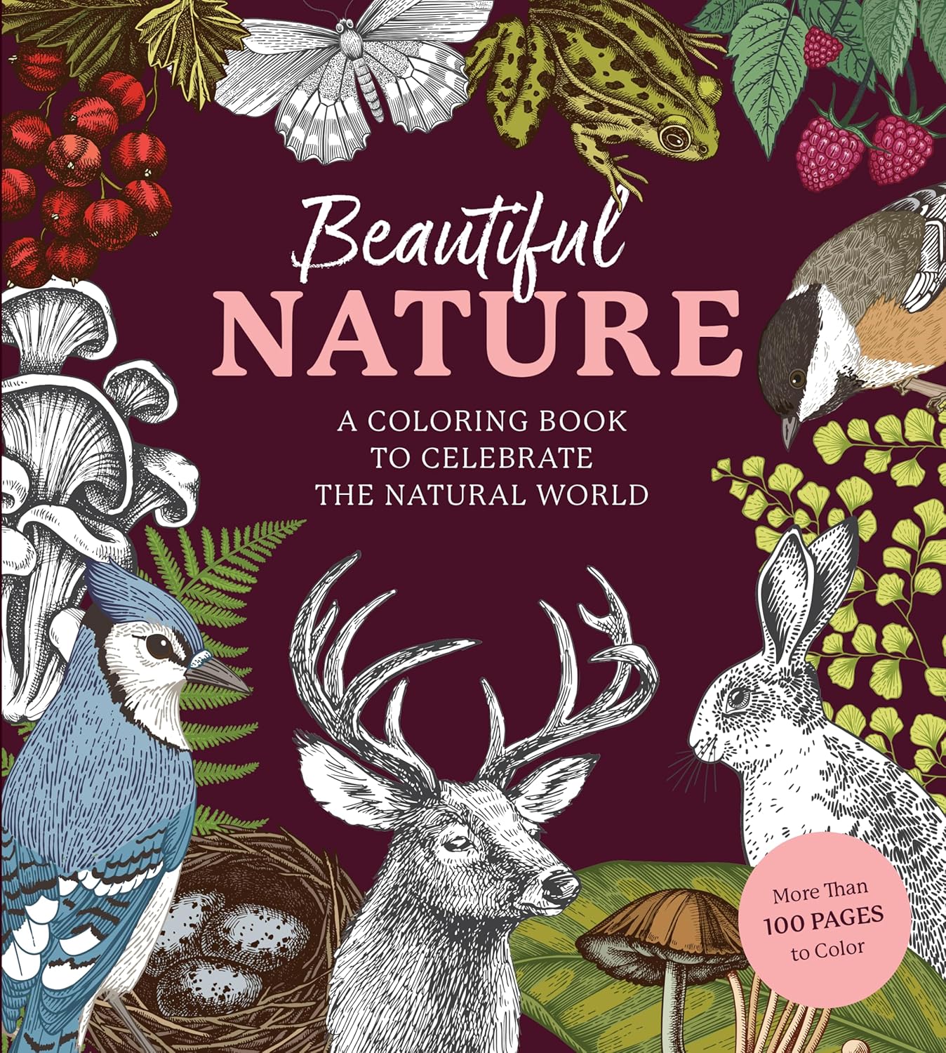 Beautiful Nature Coloring Book: Celebrate The Natural World by Chartwell Books 9780785843382