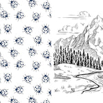 Beautiful Nature Coloring Book: Celebrate The Natural World by Chartwell Books 9780785843382_2
