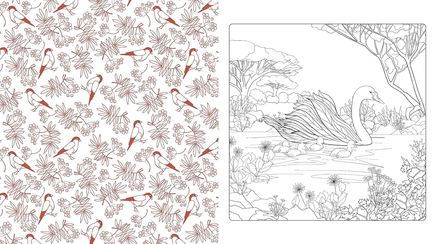 Beautiful Nature Coloring Book: Celebrate The Natural World by Chartwell Books 9780785843382_3