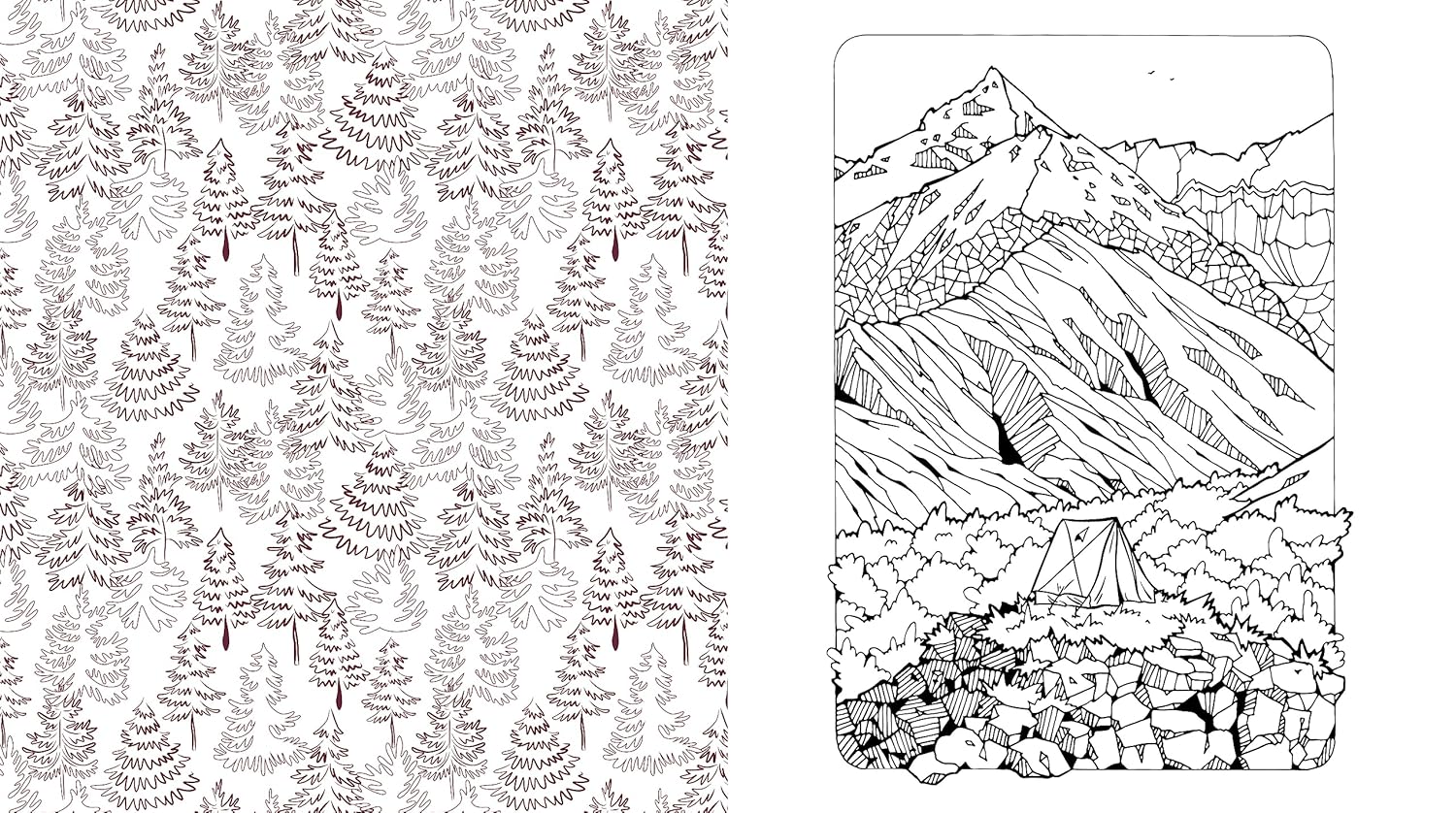 Beautiful Nature Coloring Book: Celebrate The Natural World by Chartwell Books 9780785843382_4