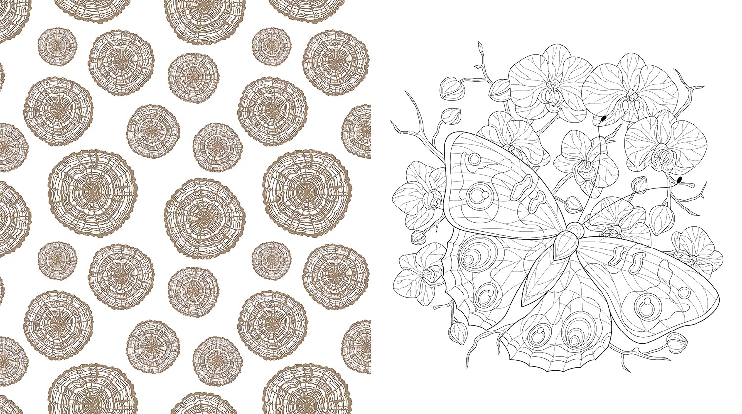 Beautiful Nature Coloring Book: Celebrate The Natural World by Chartwell Books 9780785843382_5