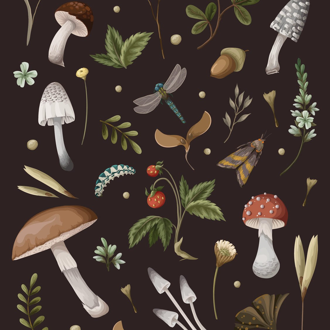 Mushroom Lined Journal from the Editors of Chartwell Books 50 9780785843832