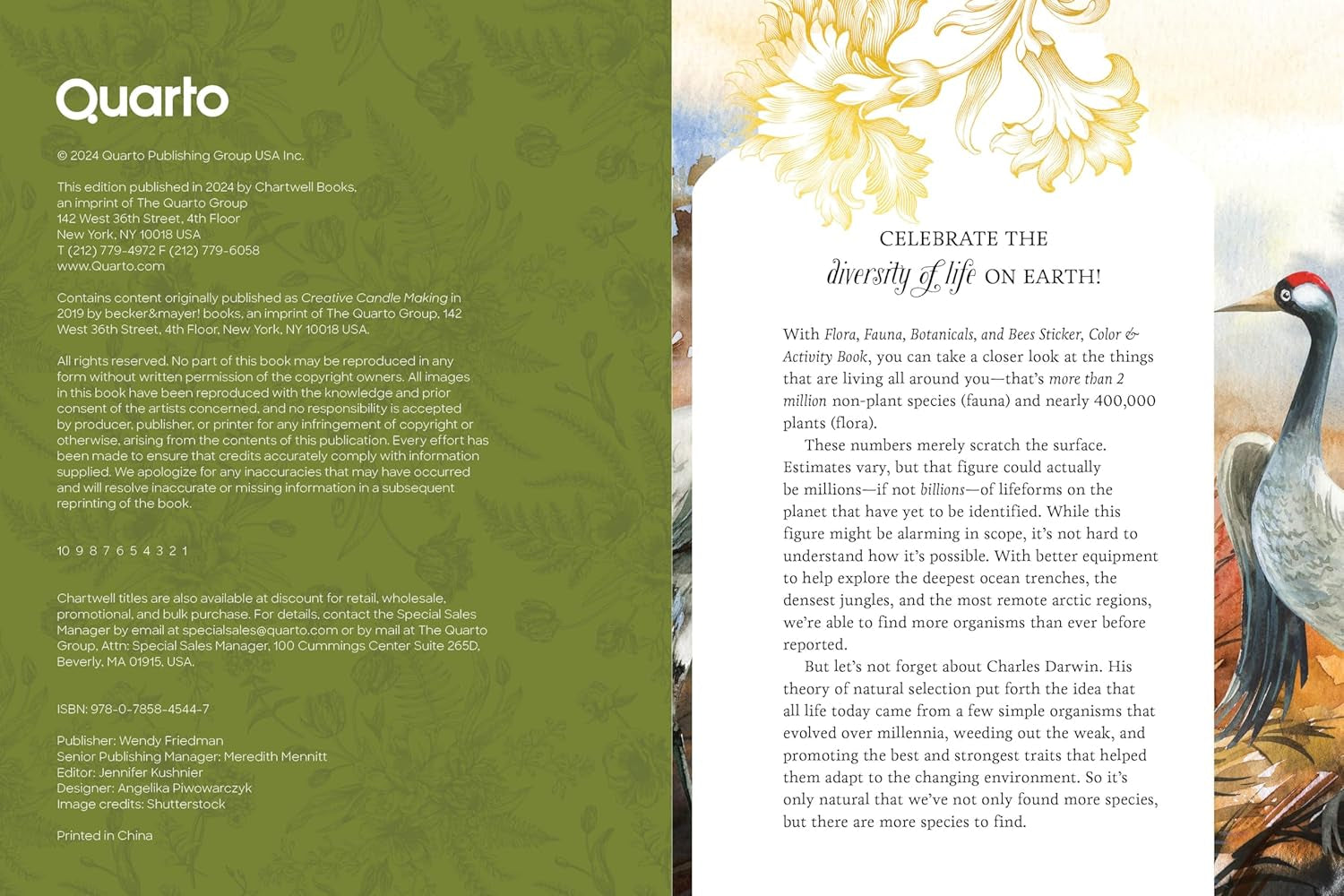 Flora, Fauna ... Sticker, Color & Activity Book by Editors Of Chartwell Books 9780785845447_1
