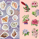 Antiquities Sticker, Color And Activity Book by Editors Of Chartwell Books 9780785846116_4