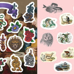 Oddities & Curiosities Sticker, Color & Activity Bk by Editors Of Chartwell Book 9780785846123_1