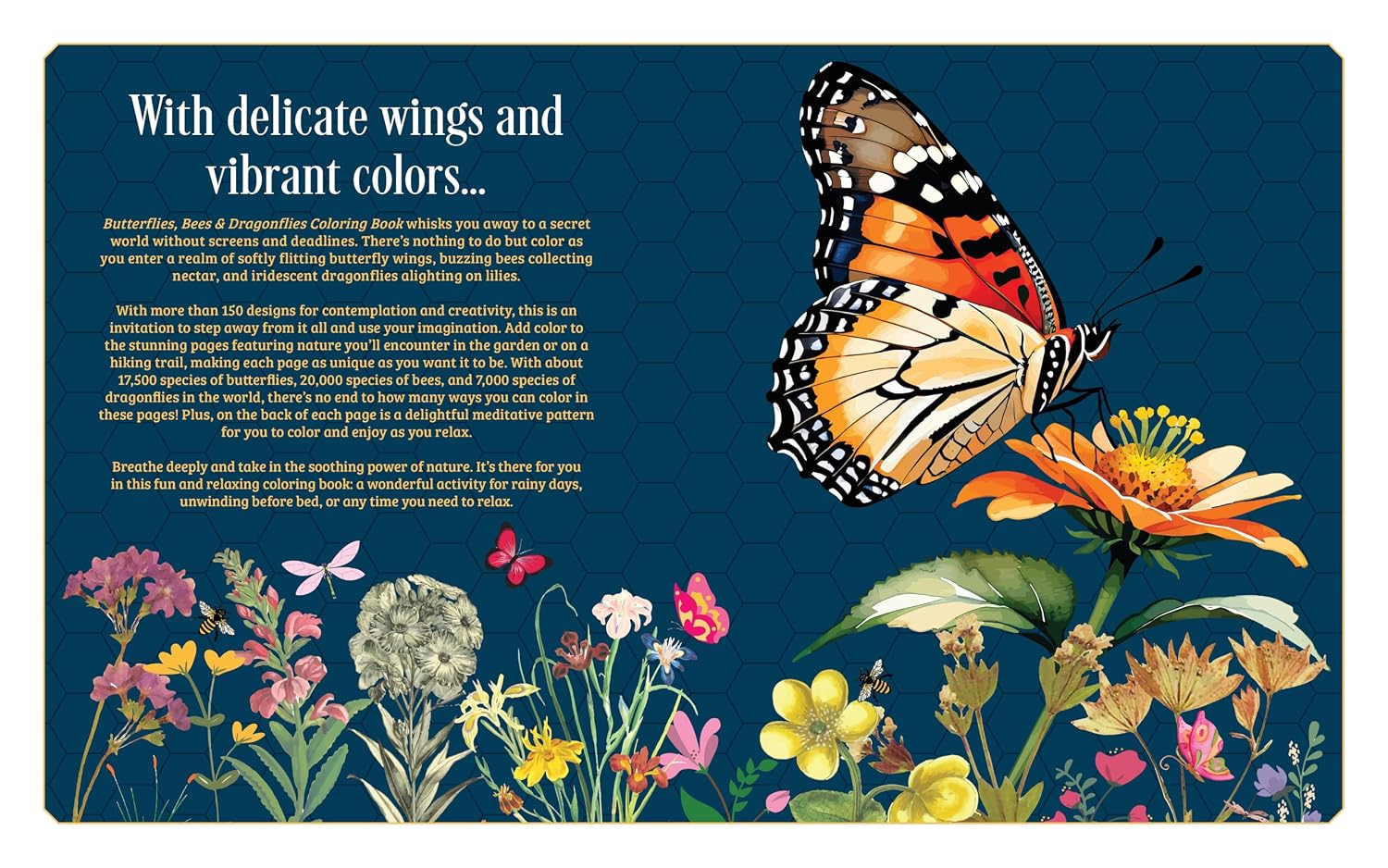 Butterflies, Bees & Dragonflies Coloring Book: 150 by Chartwell Books 20 9780785846314_1