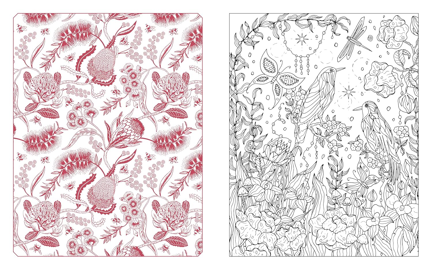 Butterflies, Bees & Dragonflies Coloring Book: 150 by Chartwell Books 20 9780785846314_3