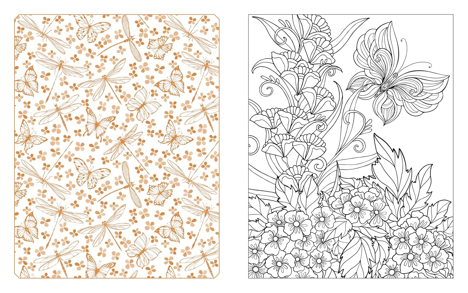 Butterflies, Bees & Dragonflies Coloring Book: 150 by Chartwell Books 20 9780785846314_4