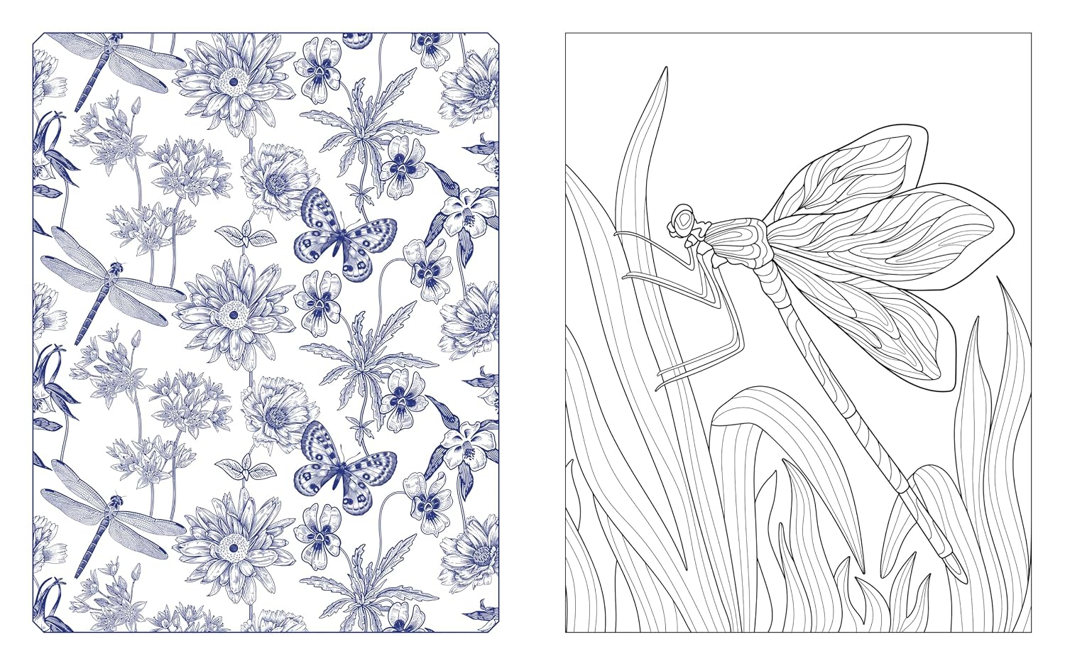 Butterflies, Bees & Dragonflies Coloring Book: 150 by Chartwell Books 20 9780785846314_5