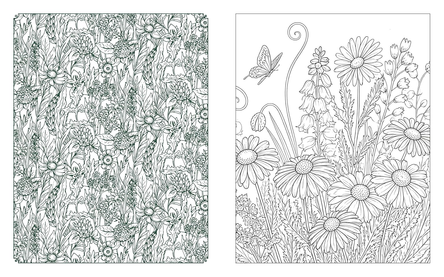 Wildflowers In Bloom Coloring Book: 150 by Chartwell Books 20 9780785846321_4_ff30ab5c-9ee1-4ac4-acd2-53fe0b0eff24