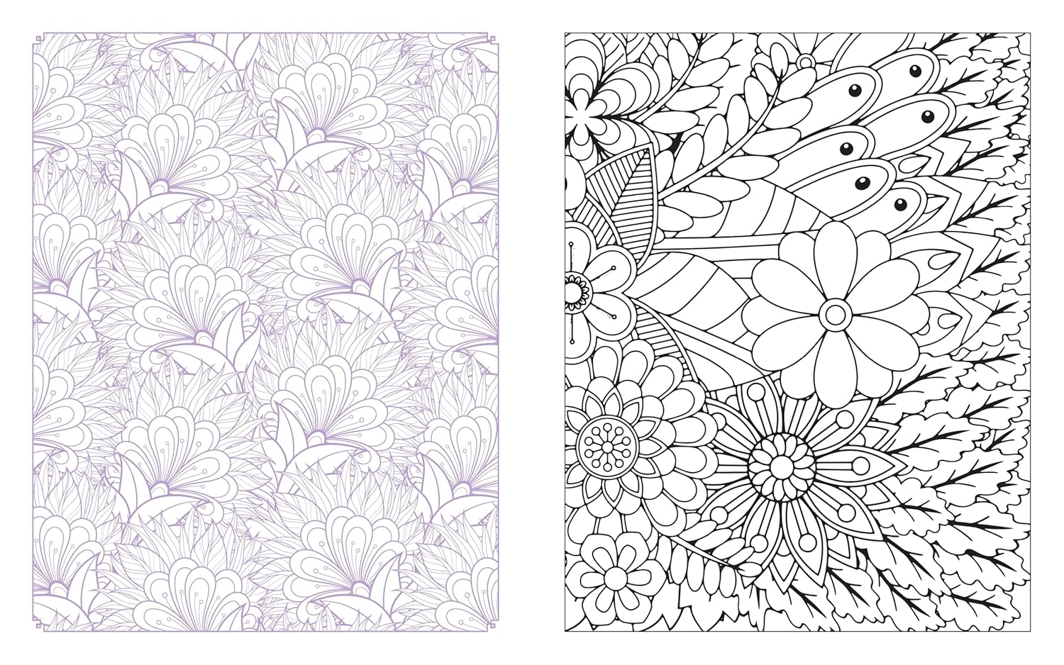 Wildflowers In Bloom Coloring Book: 150 by Chartwell Books 20 9780785846321_5