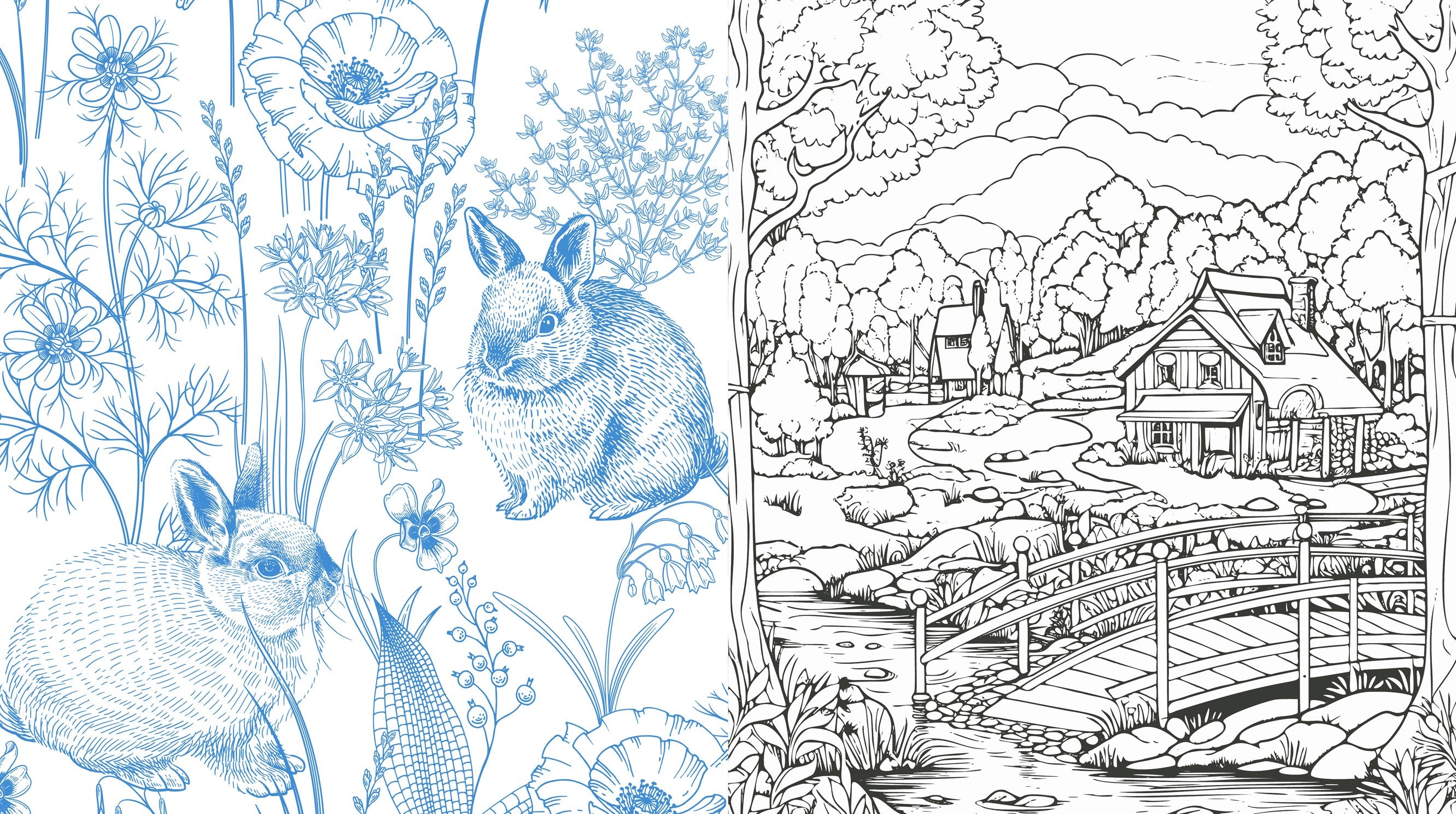 Cottagecore Coloring Book by Chartwell Books 9780785846505_1