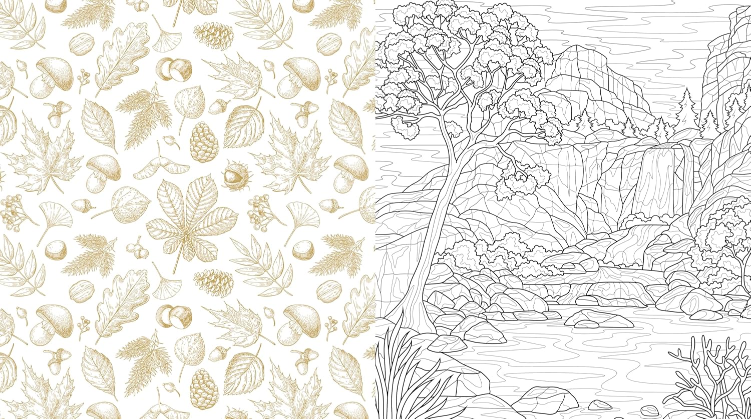 Mountains & Wilderness Coloring Book by Editors Of Chartwell Books 9780785846512_3