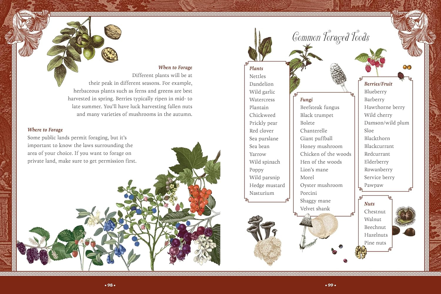 Forest, Fairies, Mushrooms & Goblins Sticker, Color & Activity Book by Chartwell 9780785846888_2