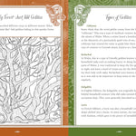 Forest, Fairies, Mushrooms & Goblins Sticker, Color & Activity Book by Chartwell 9780785846888_4