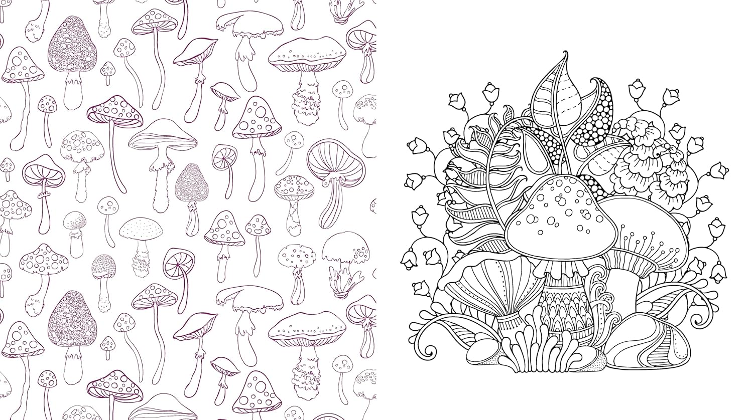 Twilight Mushrooms Coloring Book by Chartwell Books 9780785847298_2