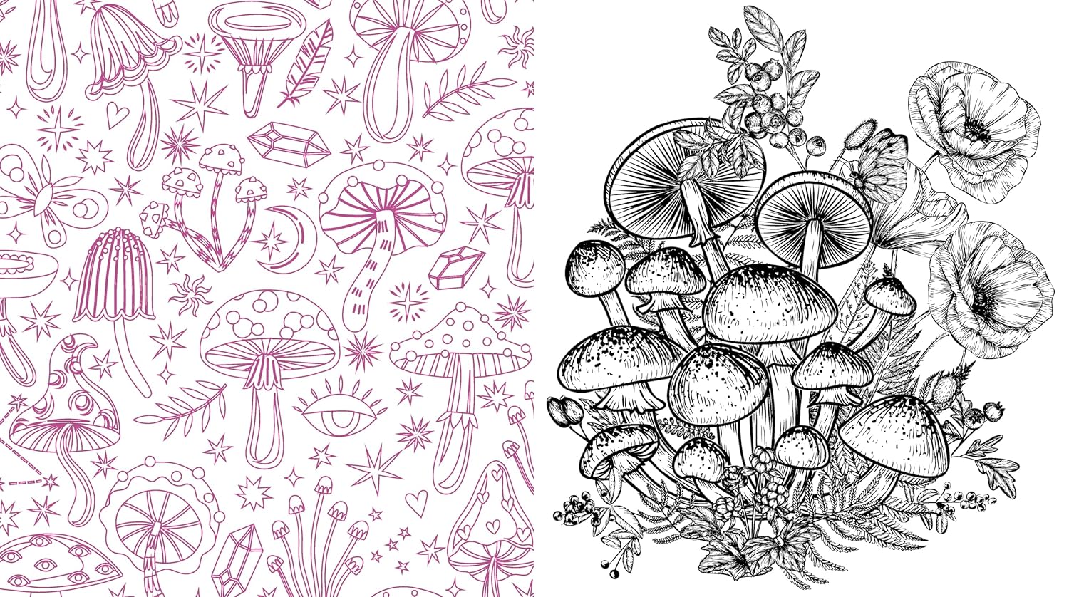 Twilight Mushrooms Coloring Book by Chartwell Books 9780785847298_3