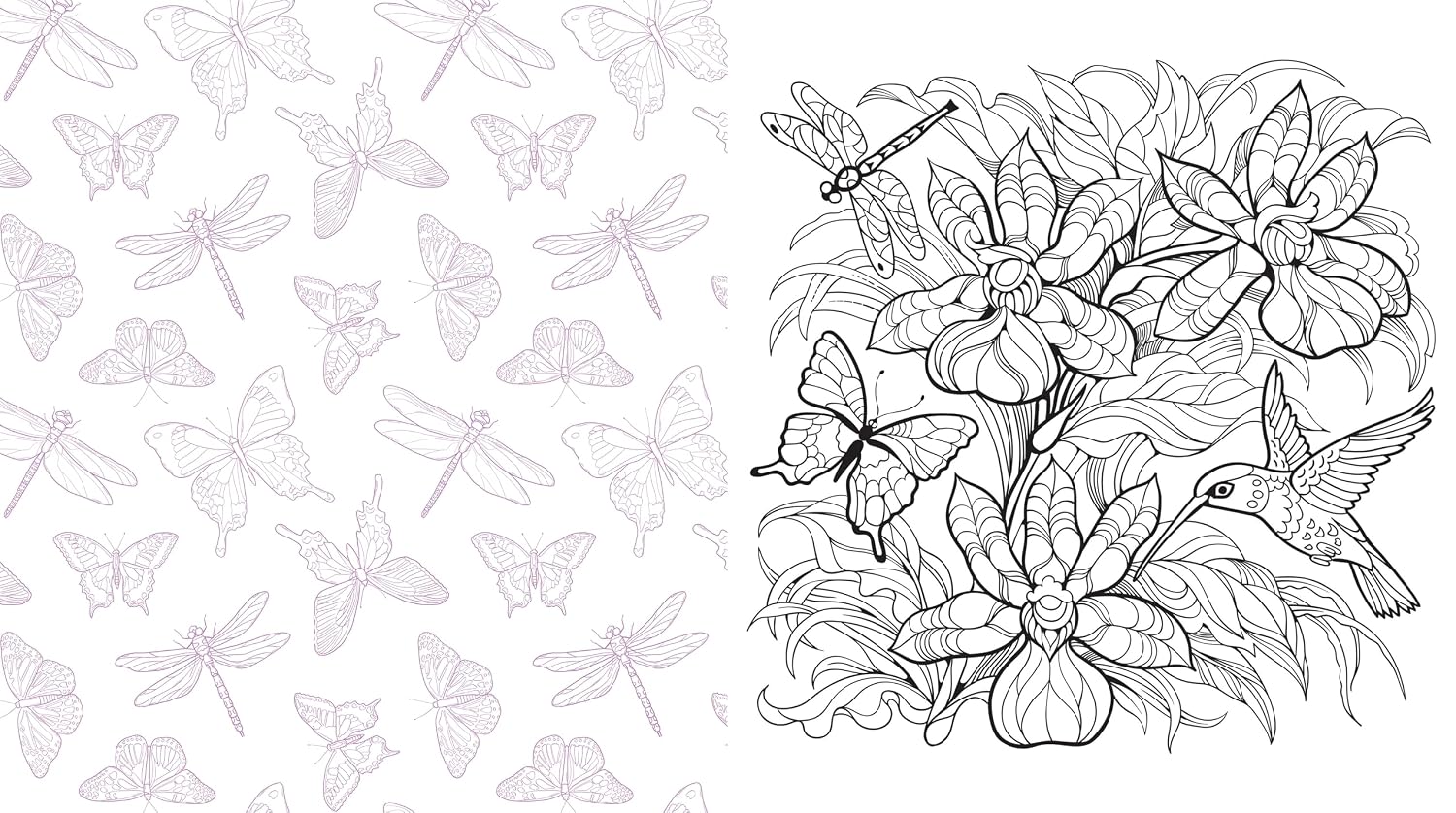 Butterflies, Bees & Dragonflies Coloring Book by Chartwell Books 20 9780785848295_2