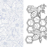 Butterflies, Bees & Dragonflies Coloring Book by Chartwell Books 20 9780785848295_3