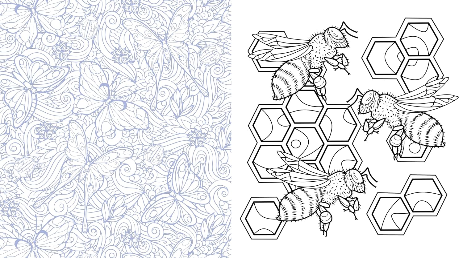 Butterflies, Bees & Dragonflies Coloring Book by Chartwell Books 20 9780785848295_3