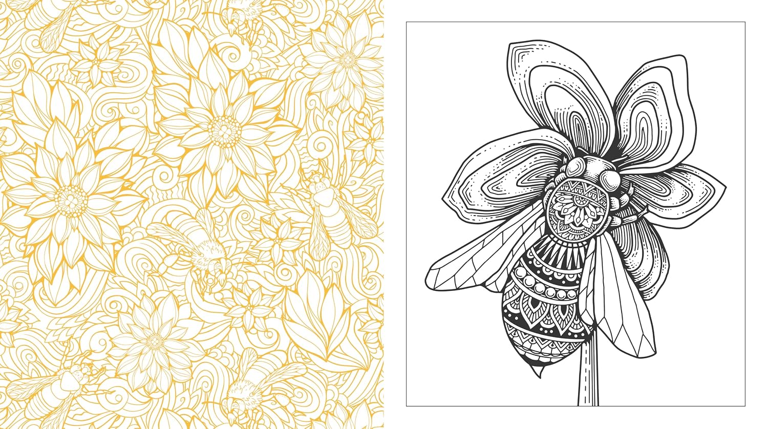 Butterflies, Bees & Dragonflies Coloring Book by Chartwell Books 20 9780785848295_4
