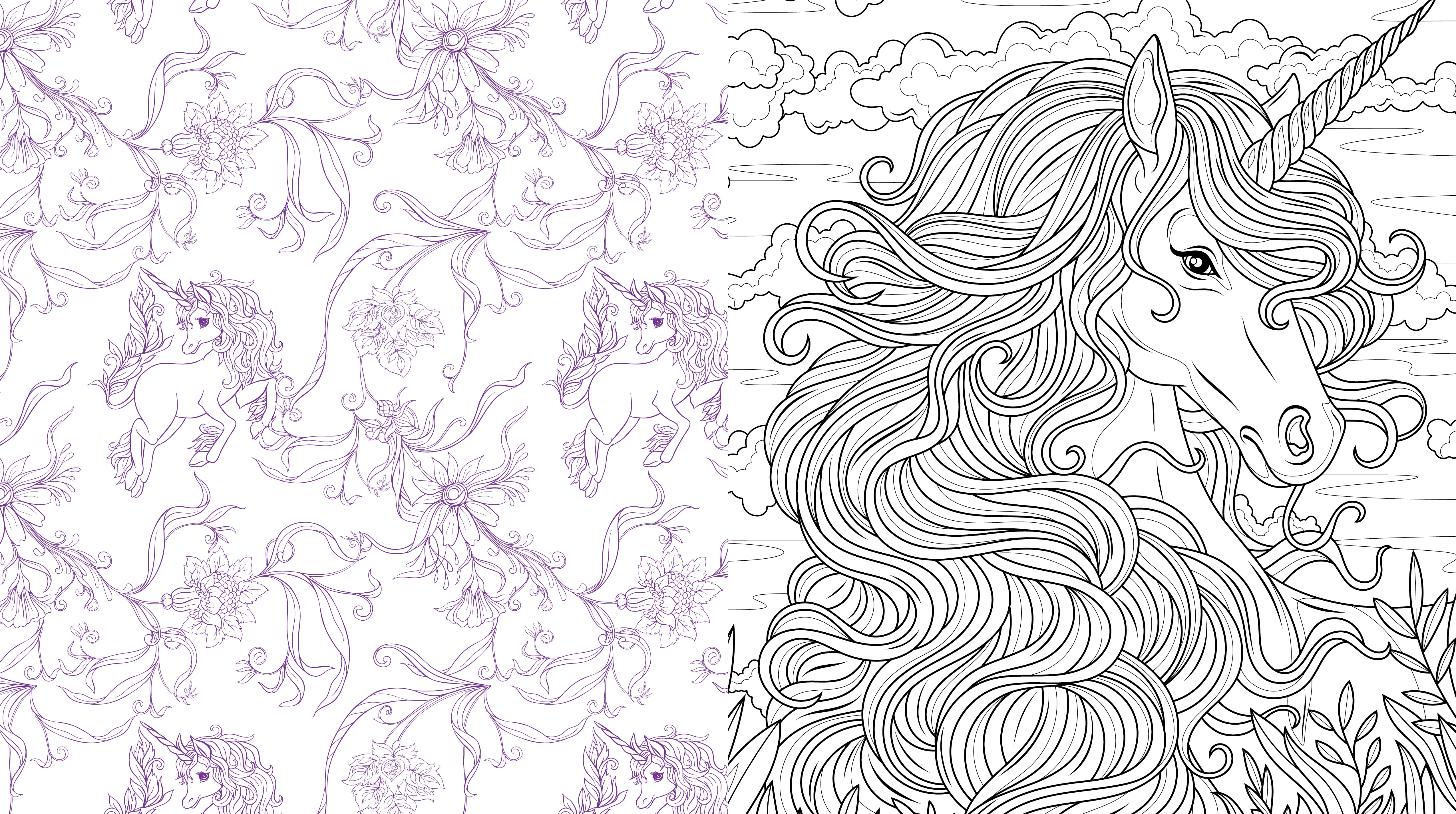 Beautiful Unicorns Coloring Book by Chartwell Books 20 9780785848660_2