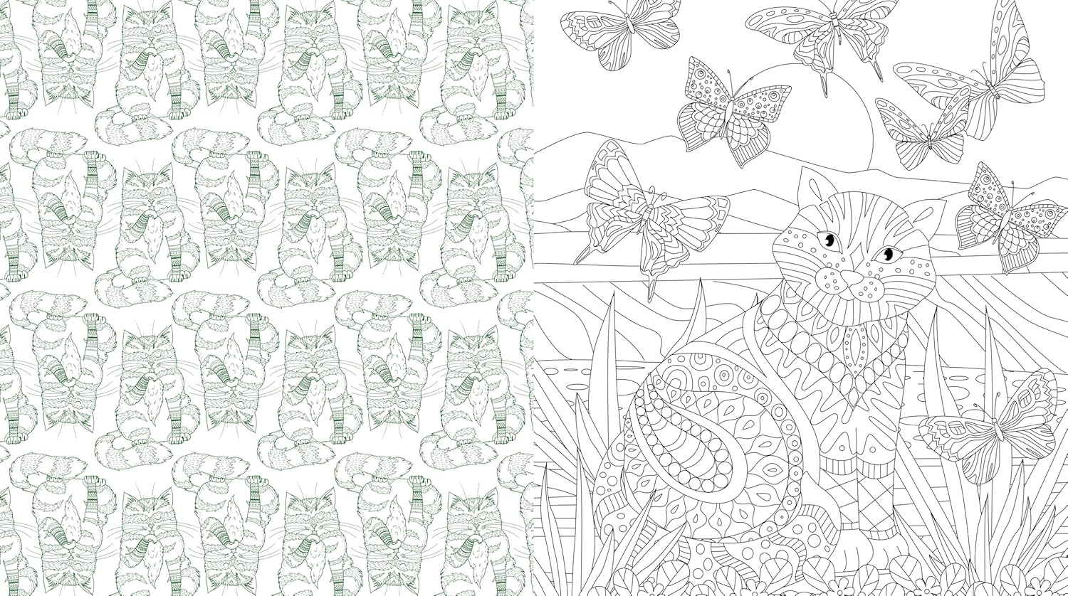 Cute Kittens Everywhere Coloring Book by Chartwell Books 20 9780785848707_4_91891fd1-d95d-4a68-8c1a-d6a09ce938f2