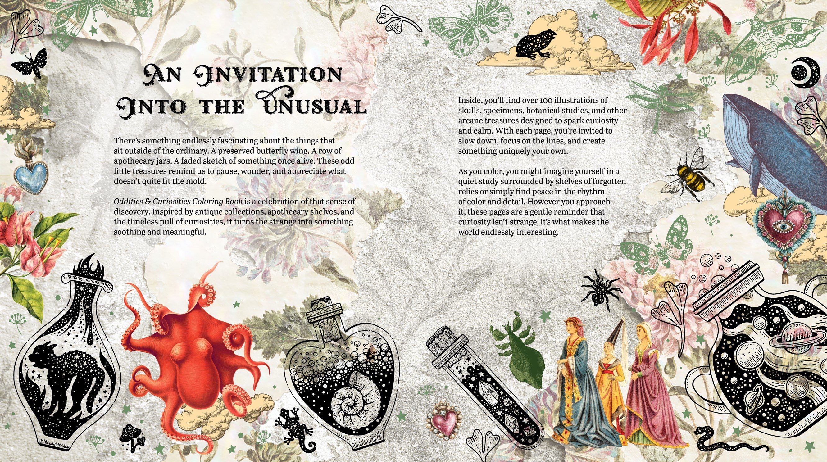 Oddities & Curiosities Coloring Book from the Editors of Chartwell Books 20 9780785848738_1