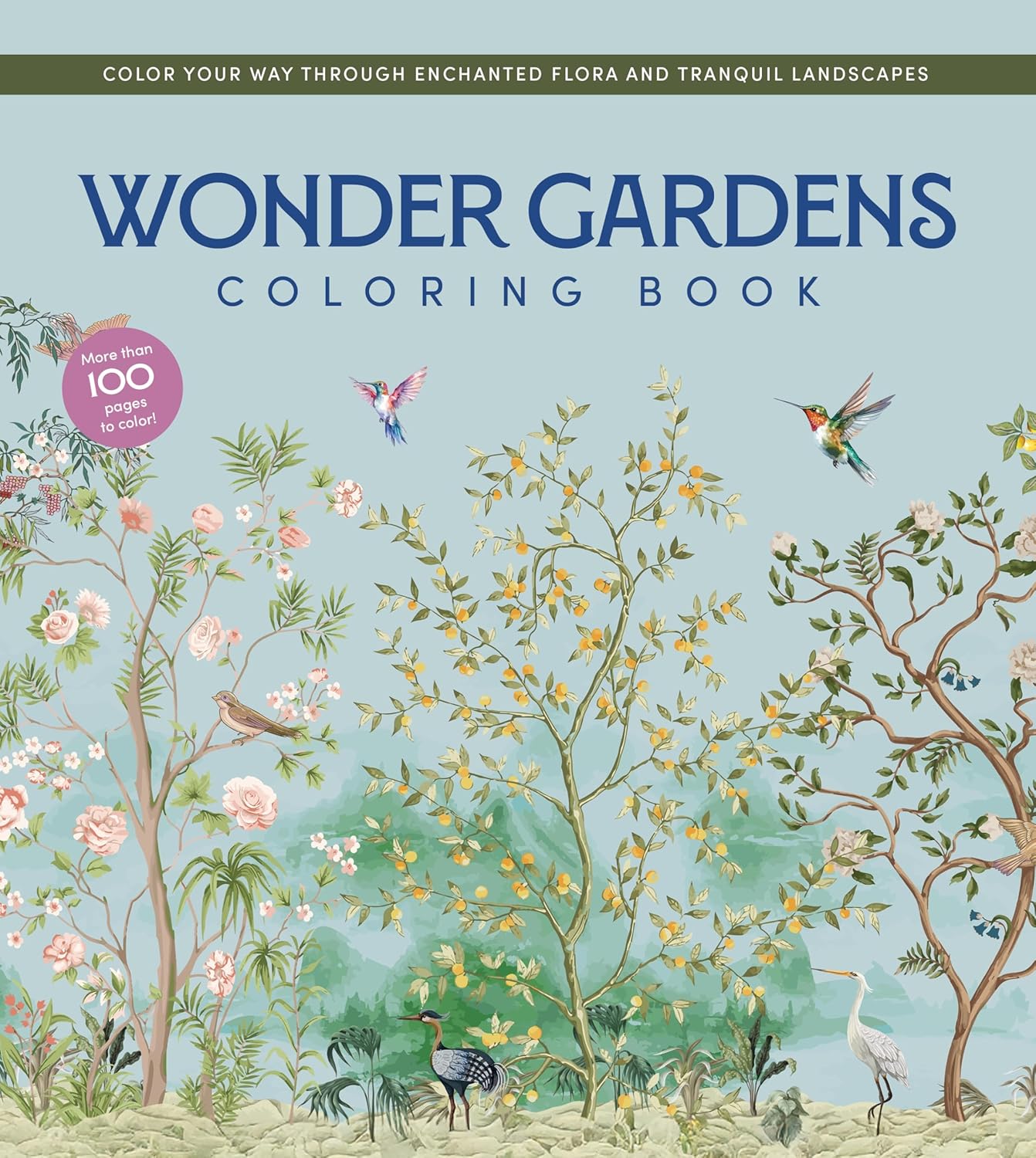 Iwonder Gardens Coloring Book by Chartwell Books 20 9780785848752