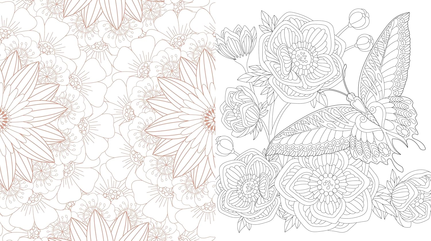 Iwonder Gardens Coloring Book by Chartwell Books 20 9780785848752_3