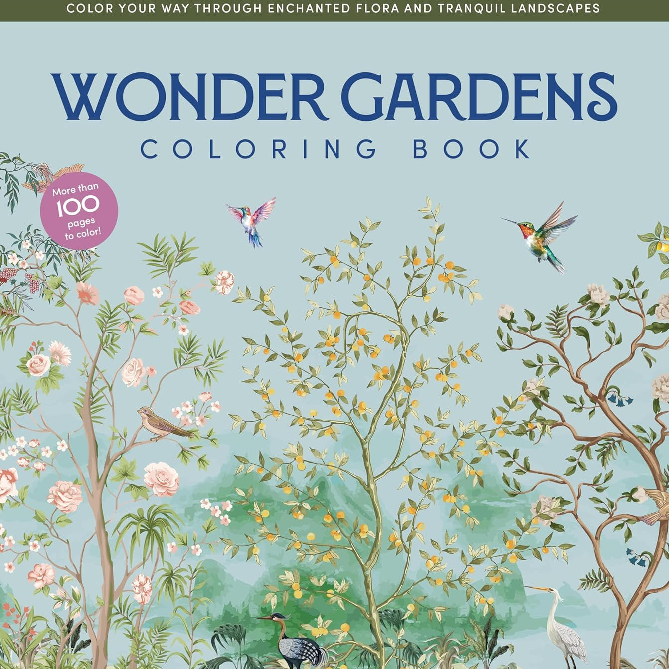 Iwonder Gardens Coloring Book by Chartwell Books 20 9780785848752_bc147d99-d9b1-434a-b202-cc122cbddb38