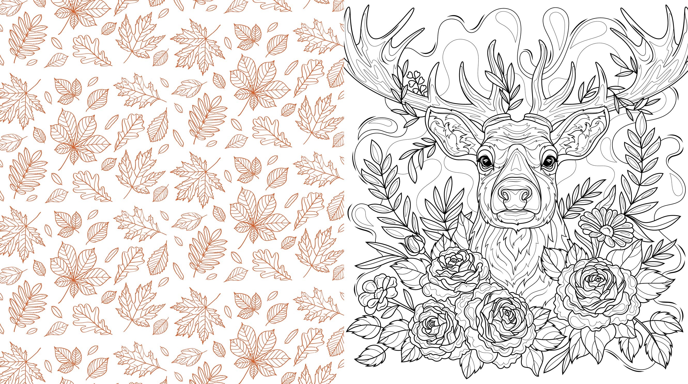 Woodlandcore Coloring Book from the Editors of Chartwell Books 20 9780785849247_1