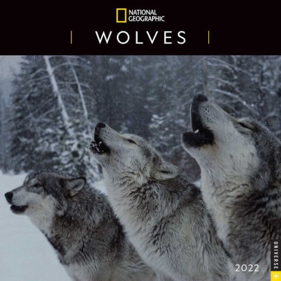 NATIONAL GEOGRAPHIC: WOLVES 2022 WALL CALENDAR 9780789340870