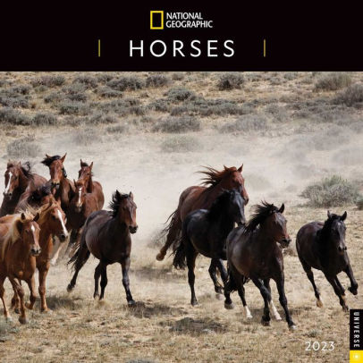 Horses 2023 Wall Calendar Nat Geo - Andrews Mcmeel 9780789342553_453bcf43-df9e-4c53-877a-d4e756abf172
