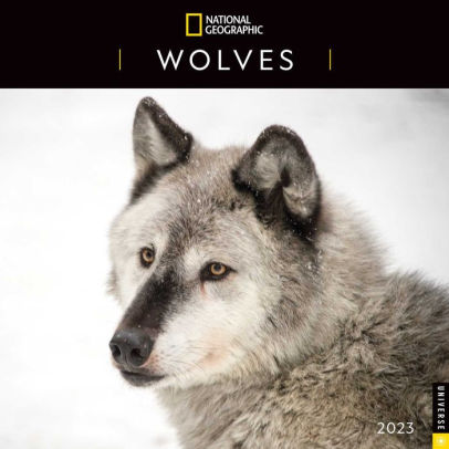 Wolves 2023 Wall Calendar Nat Geo - Andrews Mcmeel 9780789342751_61802022-20b3-47c5-adf6-906ab87b0bb5