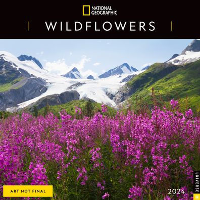 National Geographic: Wildflowers 2024 Wall Calendar - National Geographic 9780789343727_313ef4b7-9c9b-4f5e-9b19-9777ebe7fcc8