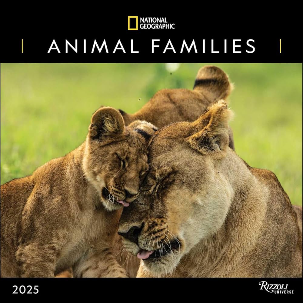 National Geographic: Animal Families 2025 Wall Calendar 9780789345318
