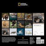 National Geographic: Apex Predators 2025 Wall Calendar 9780789345325
