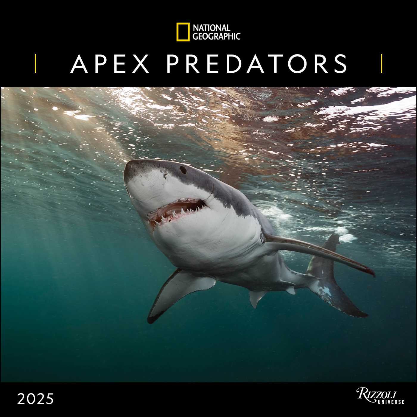 National Geographic: Apex Predators 2025 Wall Calendar 9780789345325_26dbeeff-5054-40fd-90f6-7bcdc65e768f
