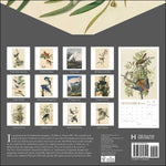 Audubon’S Watercolors 2026 Wall Calendar 9780789348241_1