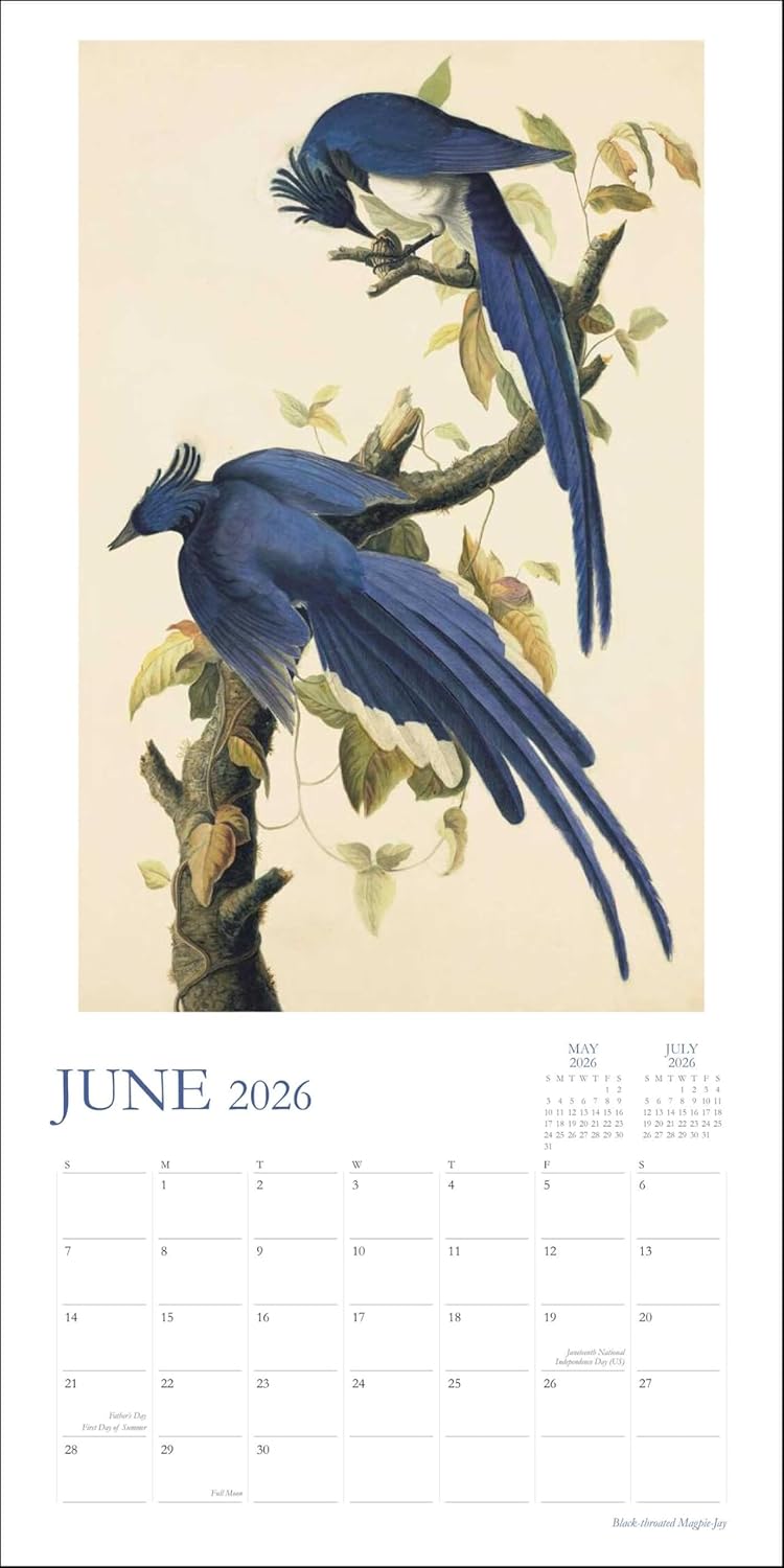 Audubon’S Watercolors 2026 Wall Calendar 9780789348241_2