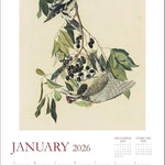 Audubon’S Watercolors 2026 Wall Calendar 9780789348241_3