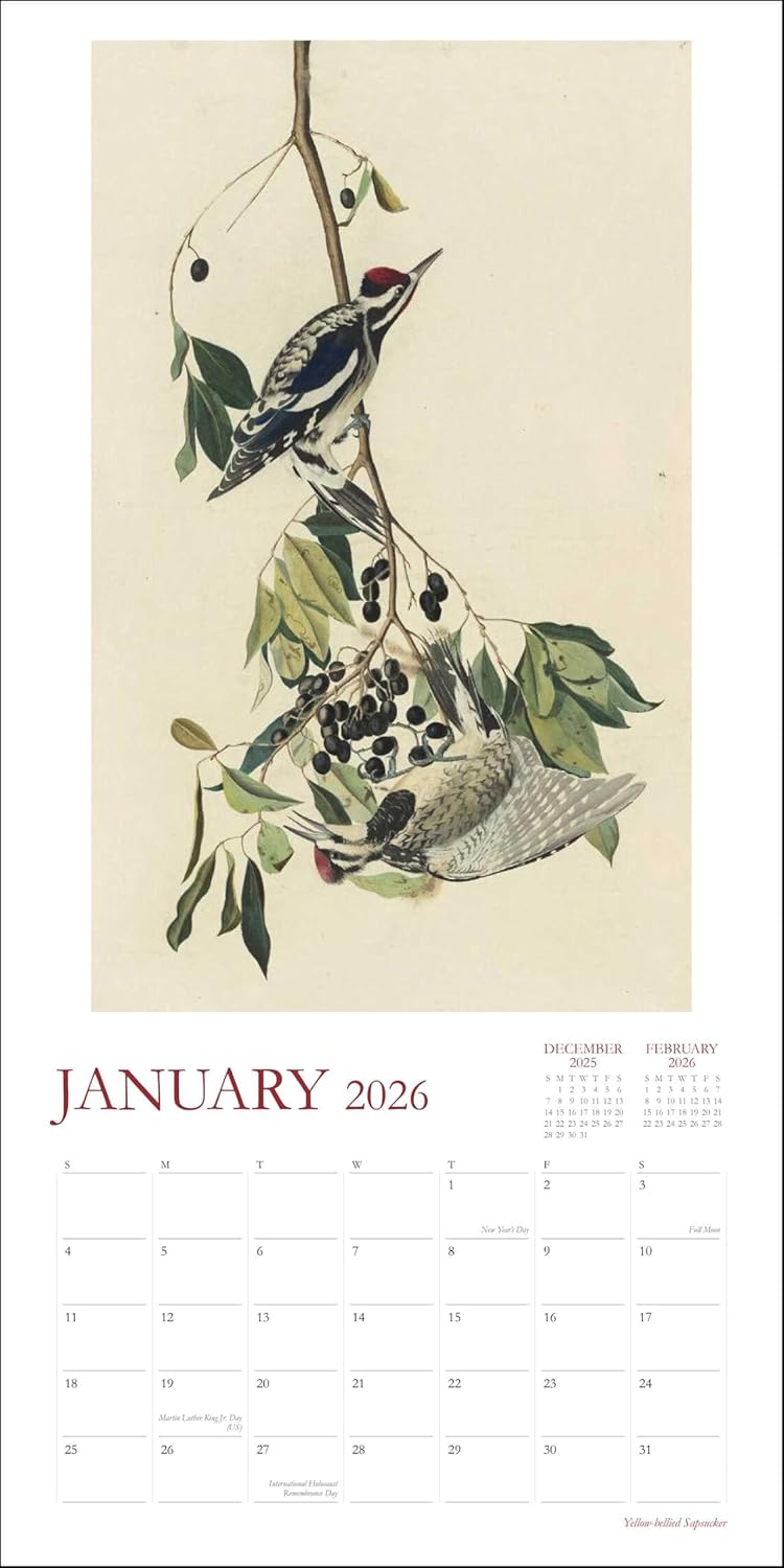 Audubon’S Watercolors 2026 Wall Calendar 9780789348241_3