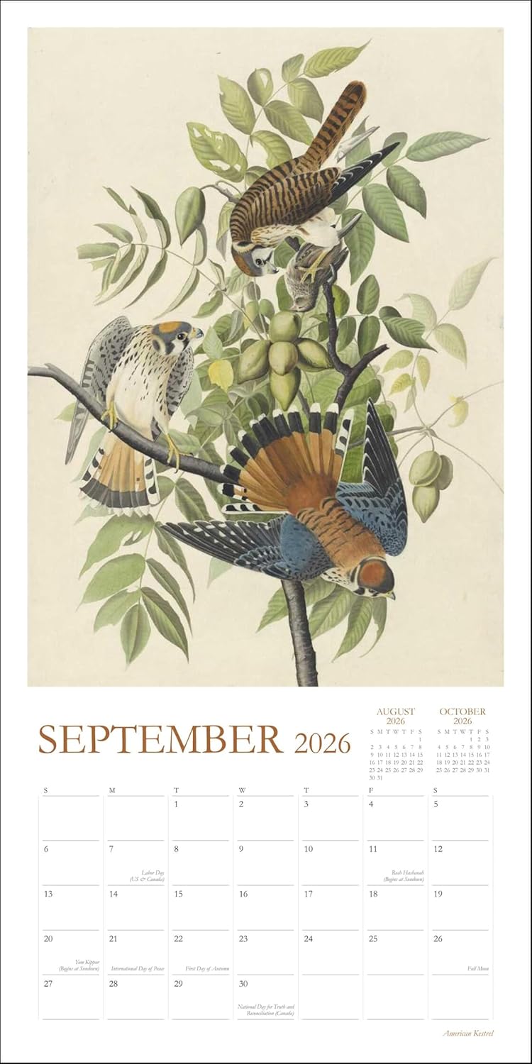 Audubon’S Watercolors 2026 Wall Calendar 9780789348241_4