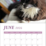 Cats And Books 2026 Wall Calendar 9780789348326_3