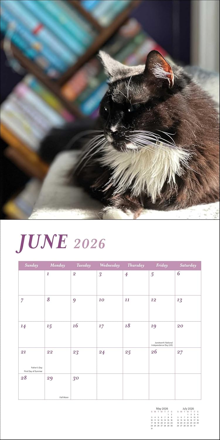Cats And Books 2026 Wall Calendar 9780789348326_3